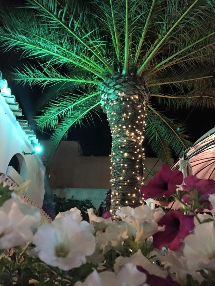 Hotel Antares Cala D´Or エクステリア 写真